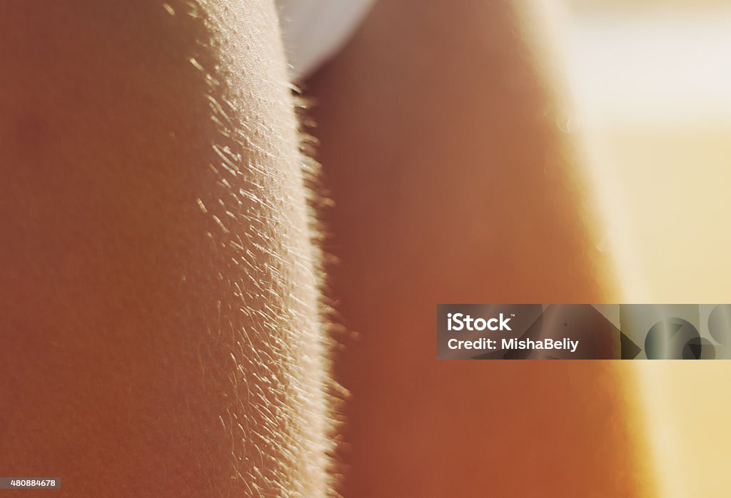 Woman's legs with goosebumps Woman's legs with goosebumps macro sunset cold Goose Bumps Stock Photo