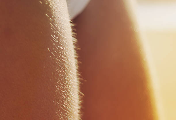 Woman's legs with goosebumps Woman's legs with goosebumps macro sunset cold hairy stock pictures, royalty-free photos & images