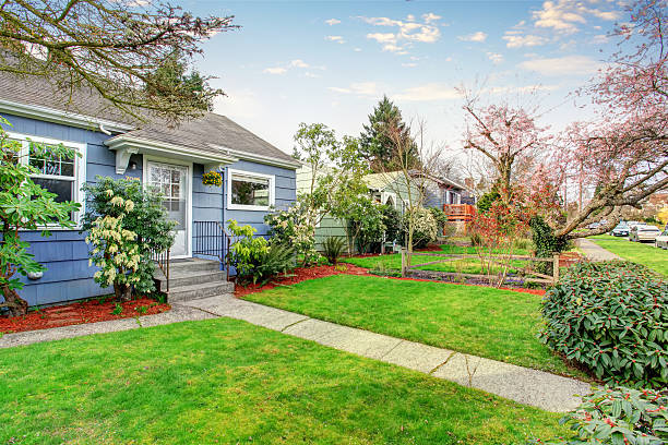 istock Authentic blue house with lots of greenery. 480888596
