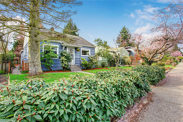 istock Authentic blue house with lots of greenery. 480888606