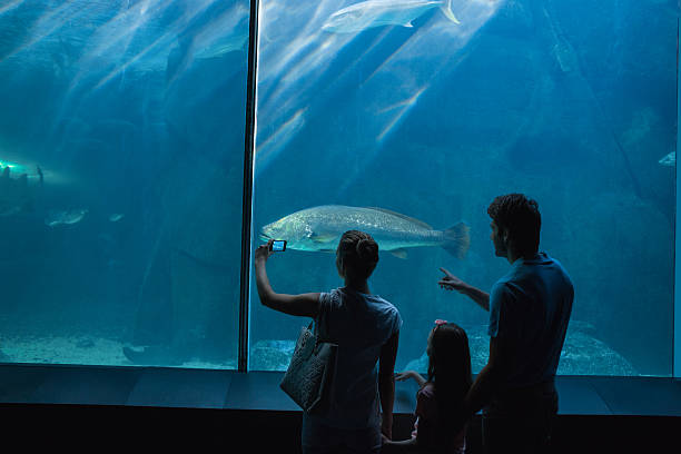 istock Happy family looking at fish tank 480889170