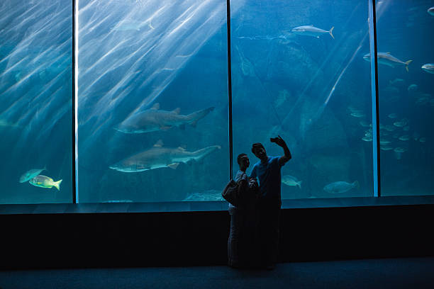 istock Happy family looking at fish tank 480889174