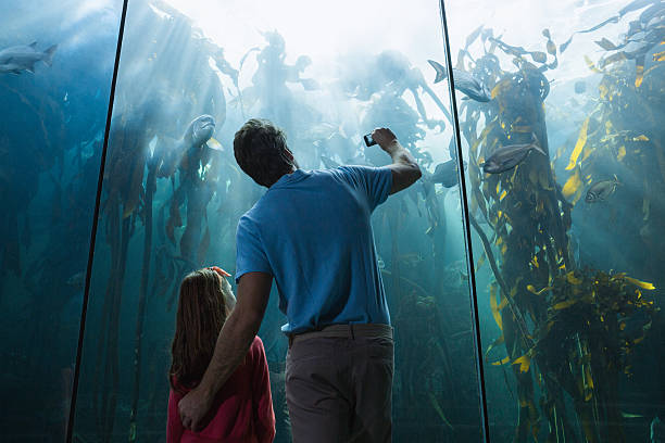 istock Father and daughter looking at fish tank 480889196