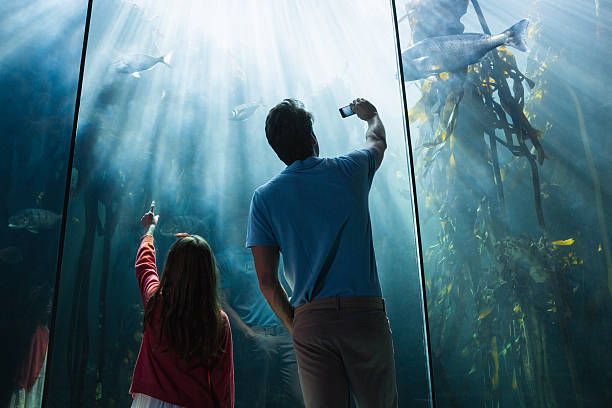 istock Father and daughter looking at fish tank 480889198
