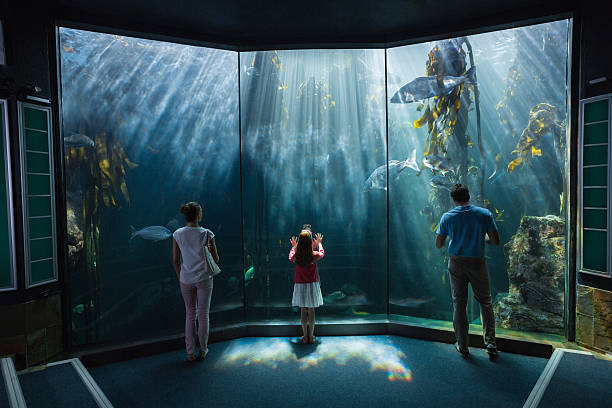 istock Family looking at fish tank 480889200