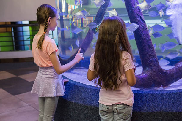 istock Cute children looking at fish tank 480889228