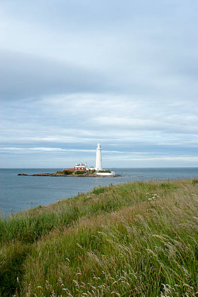 istock St Mary's Island from the shore 480889856
