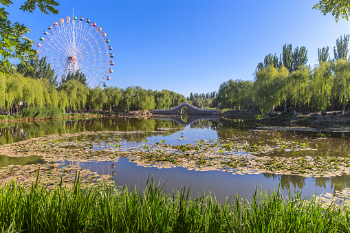 Morning time at Zhongshan Park of Yin Chuan, Ningxia province, China. An arch brige and ferris wheel on the background.