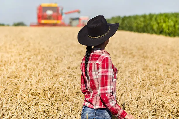 Rear view of beautiful young woman in plaid shirt and with hat standing in golden wheat field during harvest,combine harvester in background