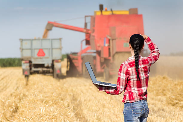 istock Young woman in wheat field during harvest 480890234