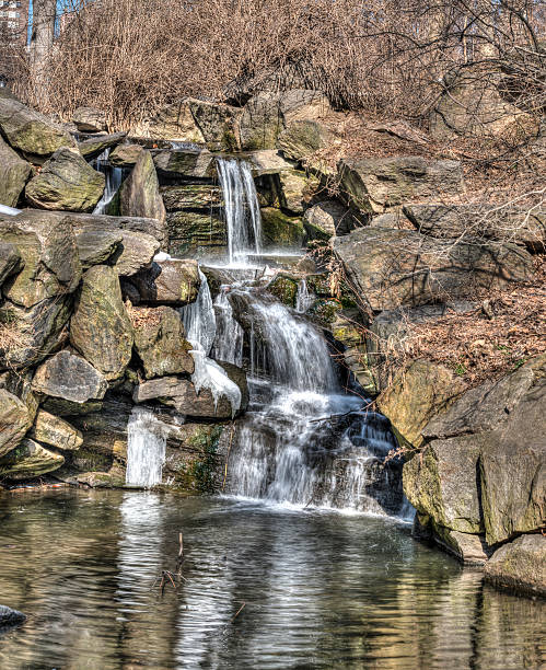 istock Central Park, New York City winter 480891447