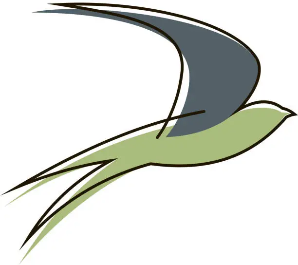 Vector illustration of Flying swallow bird