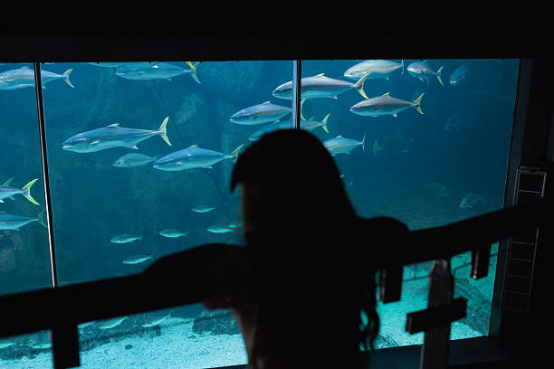 istock Little girl looking at fish tank 480893026