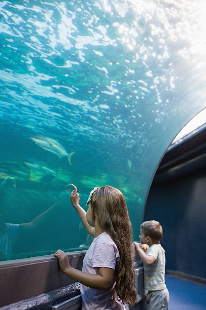 istock Little siblings looking at fish tank 480893060