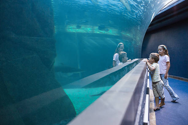 istock Little siblings looking at fish tank 480893104