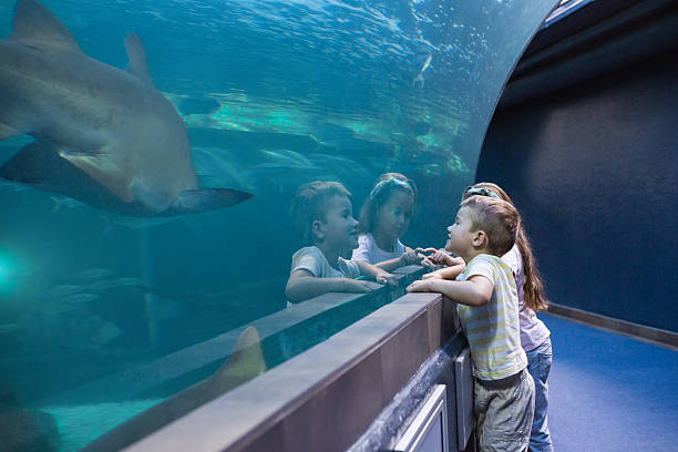 istock Little siblings looking at fish tank 480893110