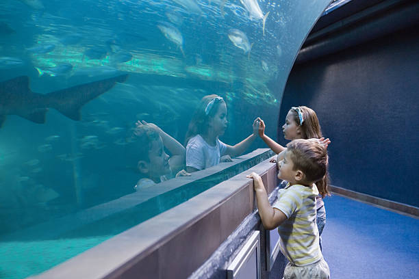 istock Little siblings looking at fish tank 480893114