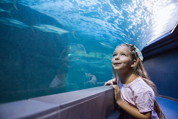 istock Little girl looking at fish tank 480893118