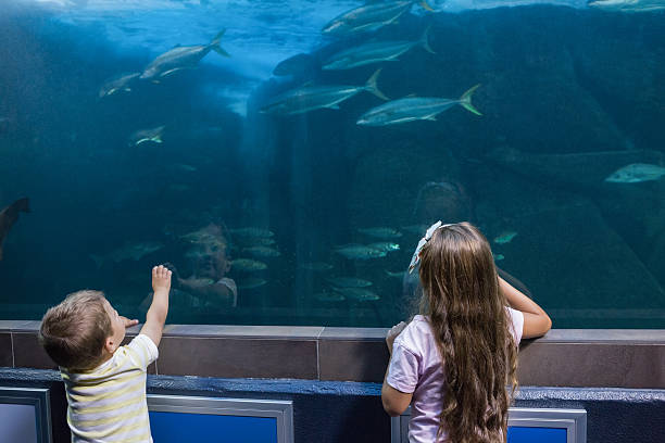istock Little siblings looking at fish tank 480893130