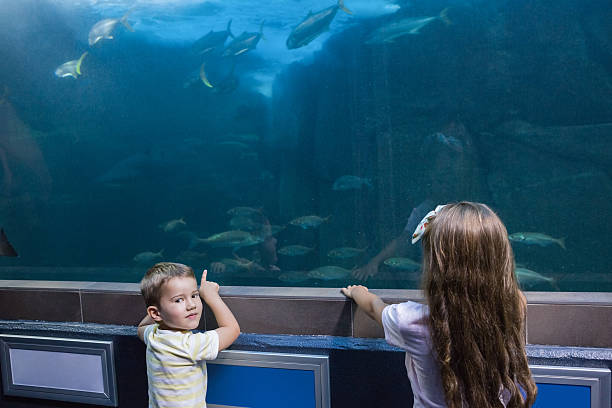 istock Little siblings looking at fish tank 480893132