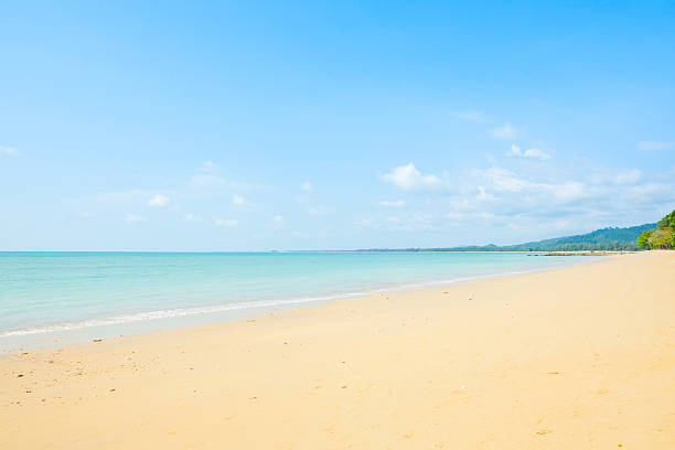 istock beach and tropical sea 480893350