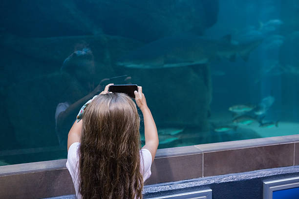 istock Little girl looking at fish tank 480894224