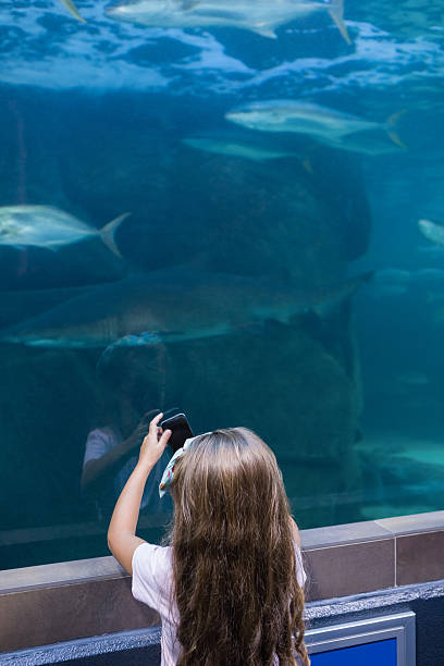 istock Little girl looking at fish tank 480894226