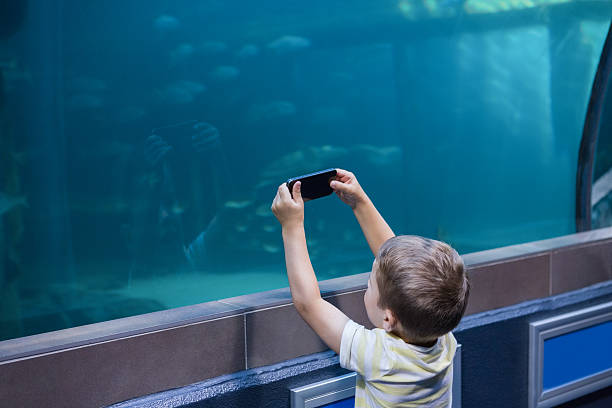 istock Little boy looking at fish tank 480894228