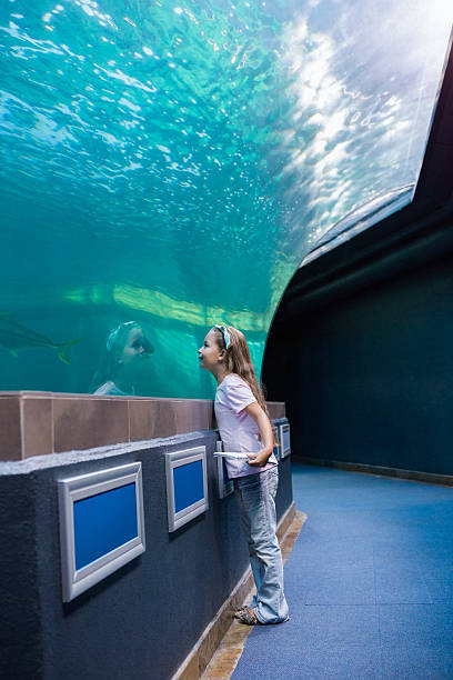 istock Little girl looking at fish tank 480896736