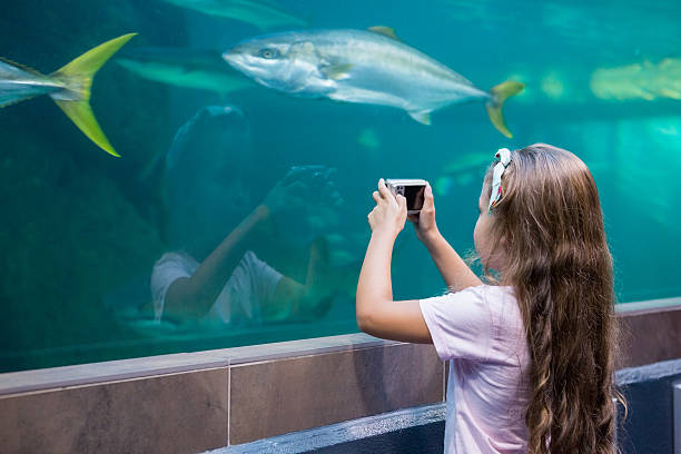 istock Little girl looking at fish tank 480896740