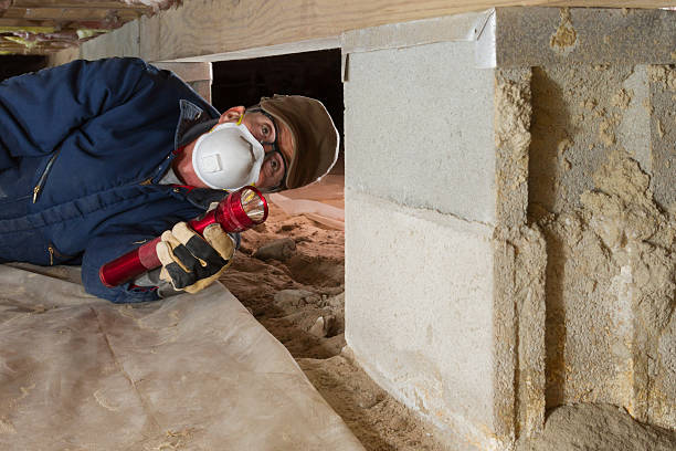 istock Home inspector looks for termites in residential home's crawl space 480897529