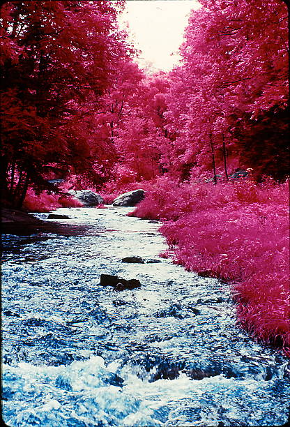 istock COLOR  INFRA-RED  SCENE  -  1979 480897530