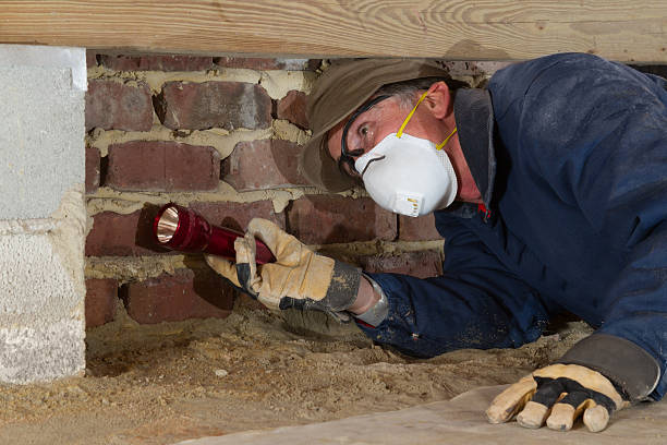 istock Home inspector looks for termites in residential home's crawl space 480897547