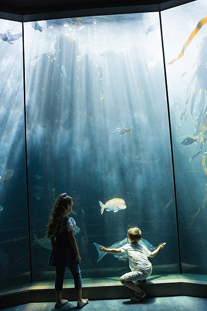 istock Little siblings looking at fish tank 480902208