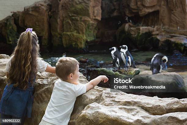 Photo libre de droit de Petits Frères Et Sœurs À Examiner Penguins banque d'images et plus d'images libres de droit de Zoo - Zoo, Enfant, Faune