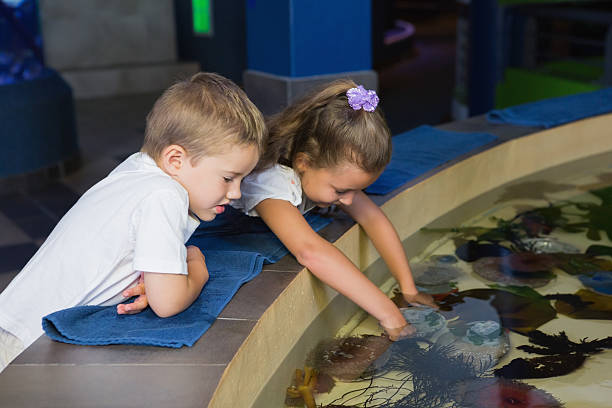istock Little siblings looking at fish tank 480902250