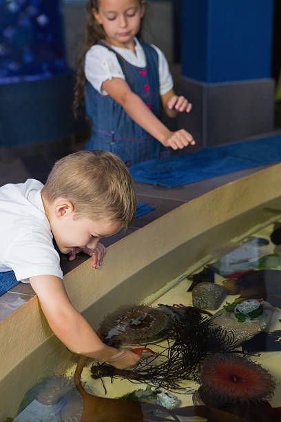 istock Little siblings looking at fish tank 480902252