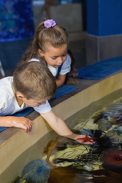 istock Little siblings looking at fish tank 480902254