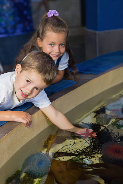 istock Little siblings looking at fish tank 480902256