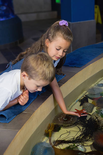 istock Little siblings looking at fish tank 480902258