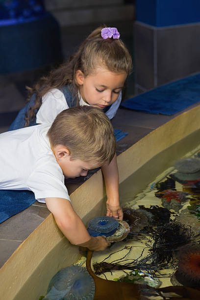 istock Little siblings looking at fish tank 480902260