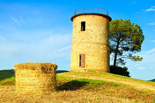 istock Tuscany, Maremma sunset landscape. Rural tower and tree on hill. 480904571