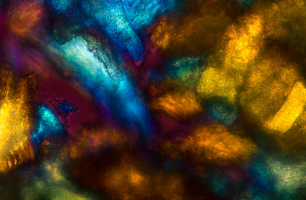 istock Bold, colorful abstract micrograph of bumble bee muscle and cara 480904620