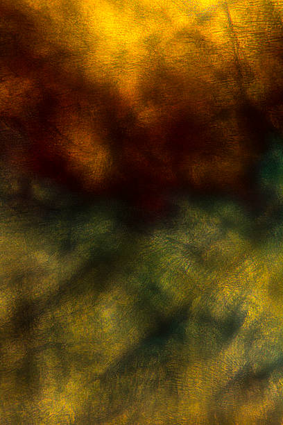istock Brown and yellow,abstract polarizing micrograph of bumble bee pa 480904622