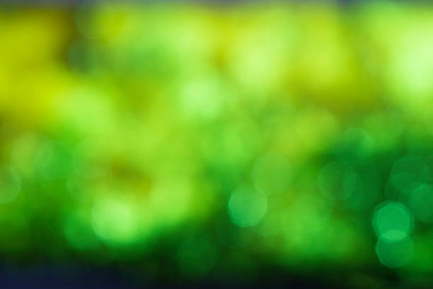 istock Abstract green natural bokeh background 480908066