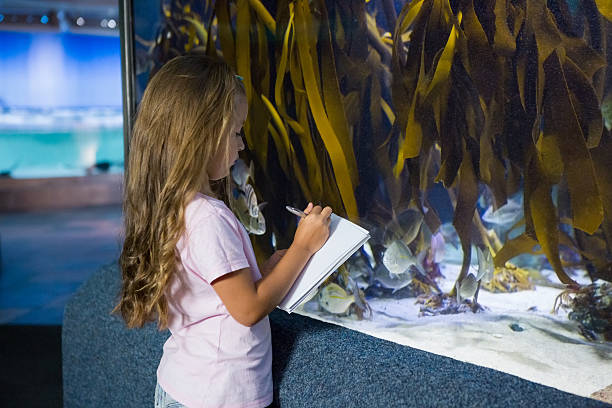 istock Cute girl looking at fish tank 480909316