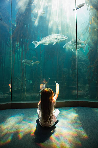 istock Little girl looking at fish tank 480909346