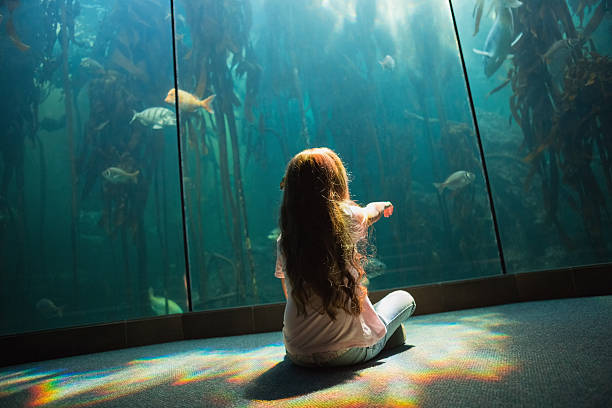 istock Little girl looking at fish tank 480909348