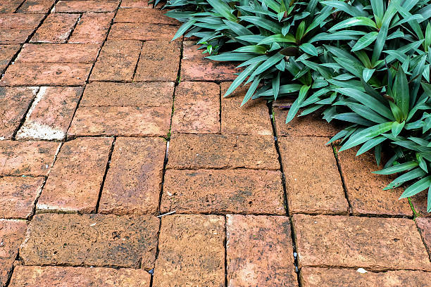istock Green leaves and red brick floor texture 480910748