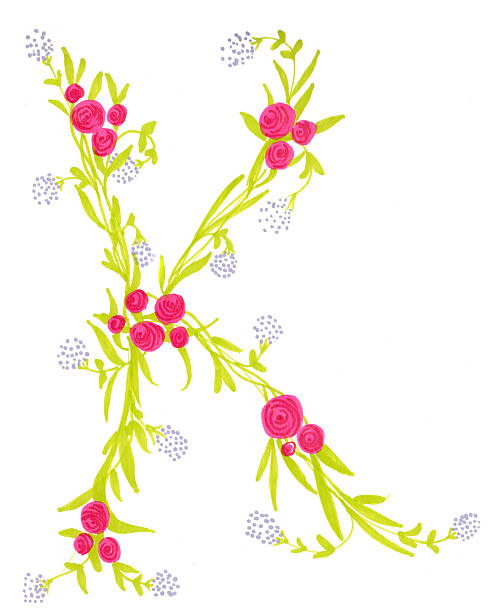 ilustraciones, imágenes clip art, dibujos animados e iconos de stock de ilustraciones de flores de letra "k" - letter p floral pattern flower typescript